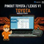 PINOUT TOYOTA / LEXUS V1 TOYOTA